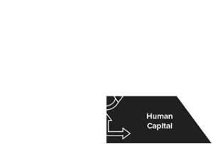 Human Capital